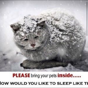 Please bring your pets inside!